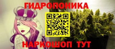 МДПВ Тула