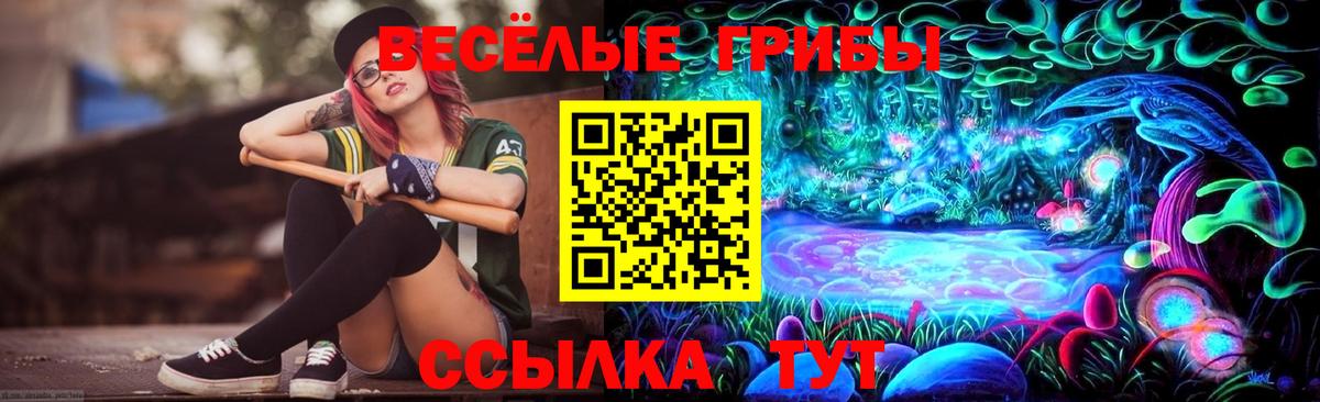 Псилоцибиновые грибы Psilocybine cubensis  Вход с VPN  Кисловодск  Галлюциногенные грибы Cubensis 